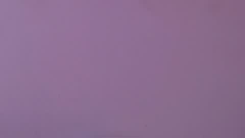 Estrella online show from February 21, 11:57 am