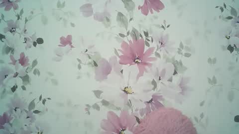 Evelina online show from May 26, 3:51 pm