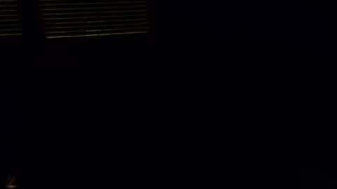 exhibitman69_ldb online show from October 30, 5:08 am