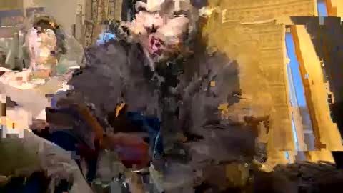 exoticnights online show from October 8, 11:38 am