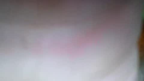 experttreecompany online show from April 11, 3:22 am