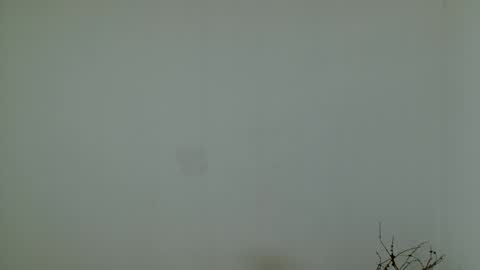 I would like to be with you online show from December 15, 2:16 pm