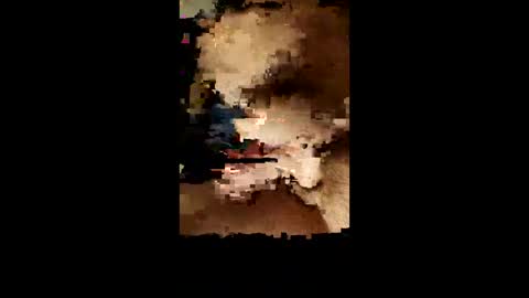 facsavar online show from February 1, 1:55 am