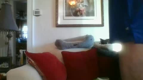 fairmount31 online show from January 10, 1:31 pm