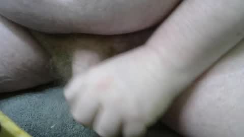 Fake Random online show from February 20, 5:12 am