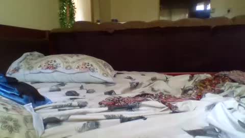 fancy_bellah online show from February 16, 10:54 am