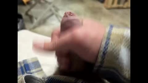 Snapshot of fartinmymouthplz chatting on November 2, 6:24 am fartinmymouthplz online show from November 2, 6:24 am