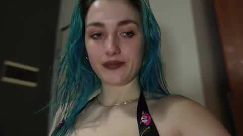 Gattino online show from January 15, 6:28 pm