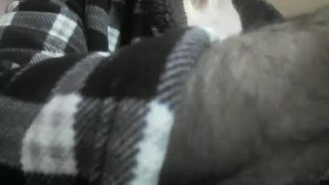 feardubh online show from November 23, 8:56 am