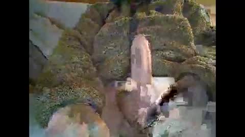 Snapshot of felipesmg2 chatting on September 10, 12:06 pm felipesmg2 online show from September 10, 12:06 pm