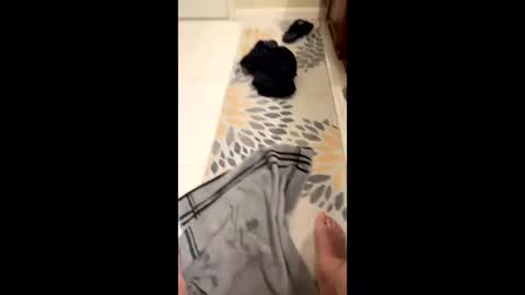 felixthekat911 online show from November 5, 12:45 am