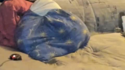 Fendermann38 online show from January 19, 1:59 am