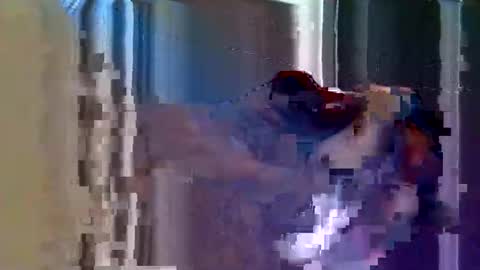 fingerwank online show from April 16, 3:06 am