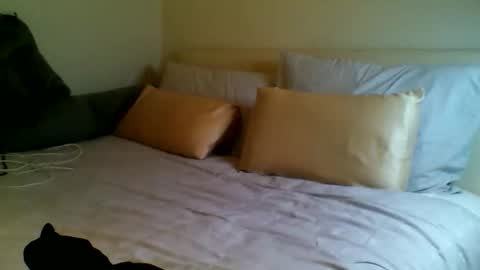 Snapshot of fitbut chatting on September 15, 7:04 pm Fitbut online show from September 15, 7:04 pm