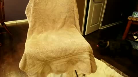 floryder86 online show from January 10, 7:32 pm