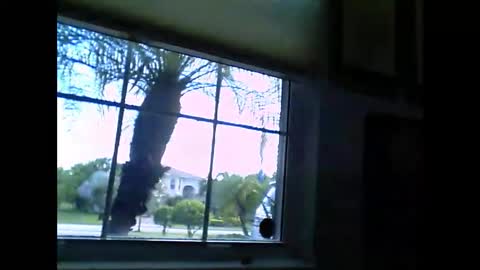 fokker100 online show from September 24, 8:59 pm