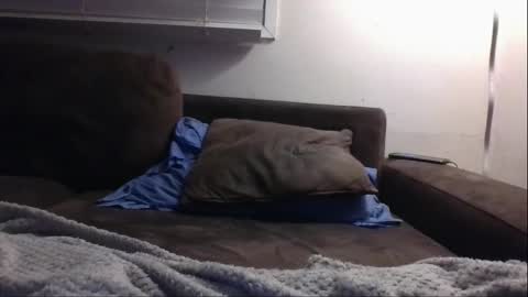 foliedeux online show from September 30, 3:11 pm