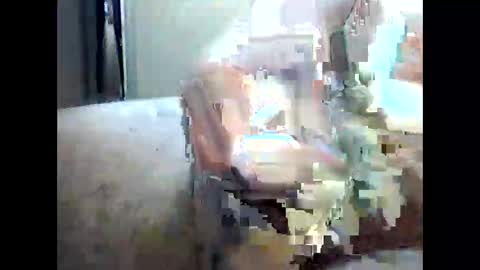 Snapshot of forest1989 chatting on October 20, 9:36 am forest1989 online show from October 20, 9:36 am