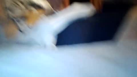 Thinline online show from December 2, 2:10 am