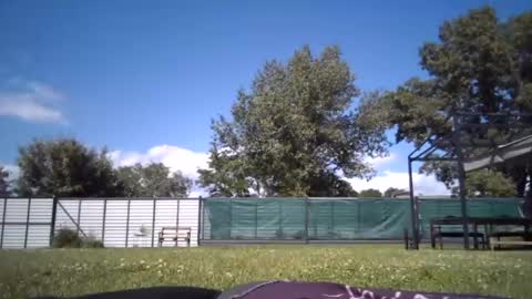 fox_red_lady7 online show from June 19, 12:44 pm