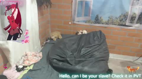 my name is Sofhia but you can call me any name you like Sir online show from July 13, 3:43 am