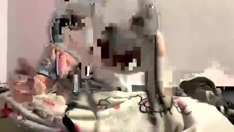 francescafey online show from September 20, 8:17 am