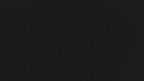 fransinape online show from January 18, 9:51 am