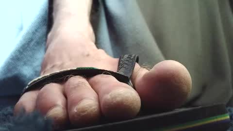 Greedy Fred online show from February 11, 2:54 pm