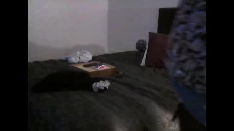 Snapshot of full4cefull chatting on February 26, 5:21 pm Pizzaz online show from February 26, 5:21 pm