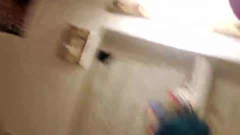 fullsend1169 online show from April 12, 5:44 am