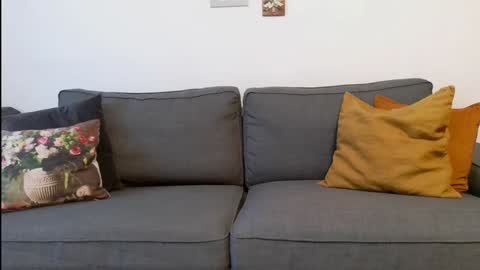 funservice online show from December 17, 9:17 am