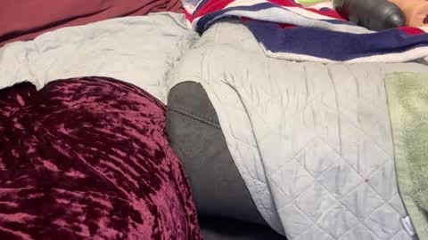 funwithtoyz online show from January 10, 7:04 am