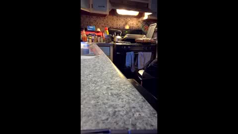 77daddy online show from February 22, 12:08 pm