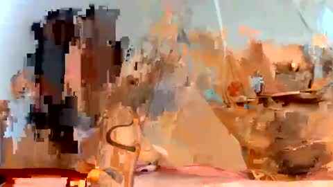 Dani online show from January 23, 11:37 am