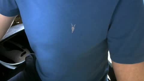 gay slave on cam online show from October 5, 9:40 am