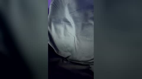 gentlemanlyguy2 online show from December 19, 2:51 am