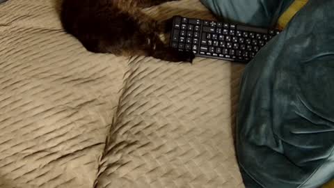 Melissa online show from December 20, 2:46 pm