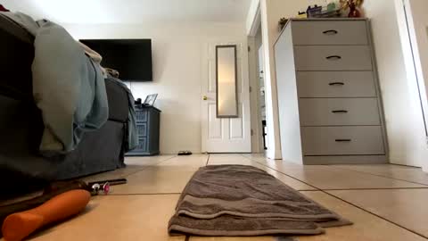 Getngetout88 online show from November 26, 4:48 pm