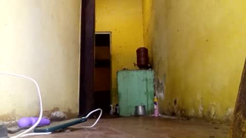 Gaby online show from February 11, 3:05 pm