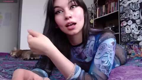 Nice to meet you my name is Heyli  online show from December 17, 6:58 pm