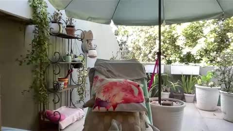 Gl1tter Barbie online show from February 11, 3:27 pm