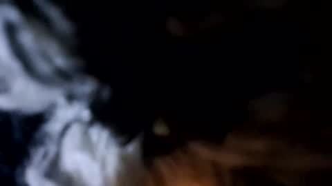 glizzy4u online show from December 19, 5:30 pm