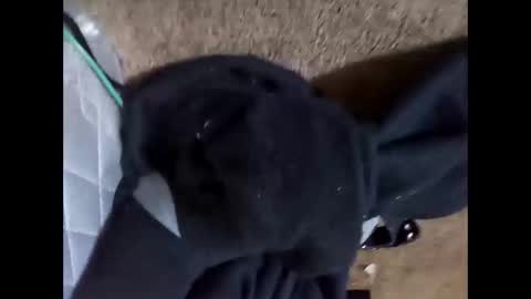 Snapshot of glizzy4u chatting on October 31, 6:41 pm glizzy4u online show from October 31, 6:41 pm