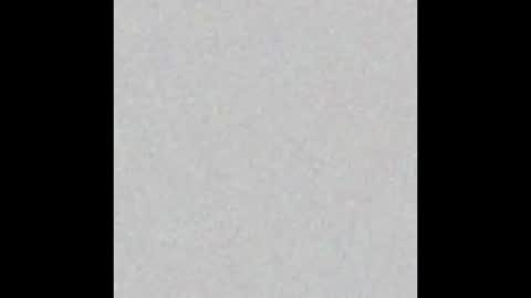 black  white online show from March 17, 8:08 am