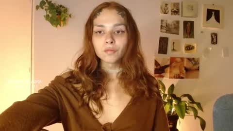 Alaska online show from November 23, 11:36 pm