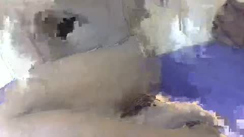 greekdico online show from December 18, 6:58 pm