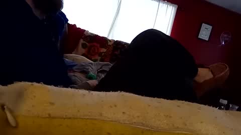 greenbastard78 online show from December 2, 3:54 pm