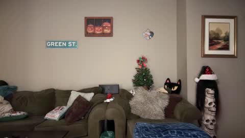 Snapshot of greenxxxqueen chatting on December 22, 7:00 am SexQueen Nikki online show from December 22, 7:00 am