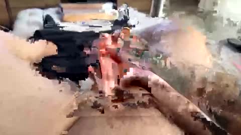 gt79802068 online show from September 18, 10:08 am