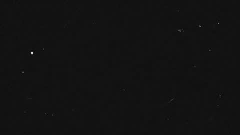 Haely online show from October 30, 11:33 am